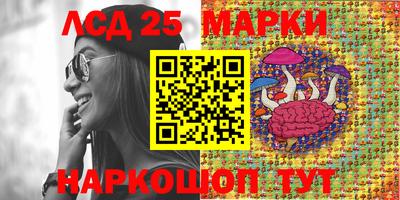 шишки Изобильный