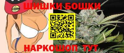 шишки Изобильный
