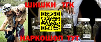 шишки Изобильный