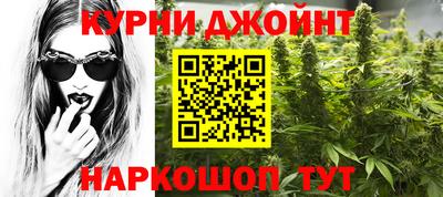 шишки Изобильный