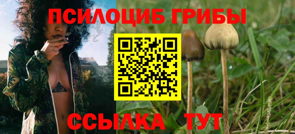 Псилоцибиновые грибы MAGIC MUSHROOMS  где продают наркотики  Кунгур  Вход с VPN 
