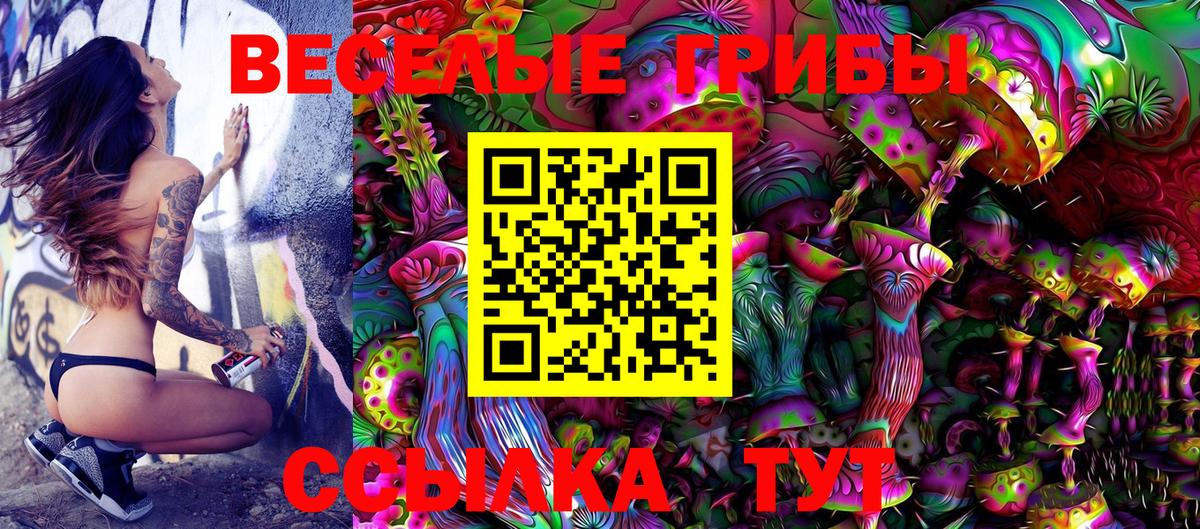 Псилоцибиновые грибы Cubensis Кунгур