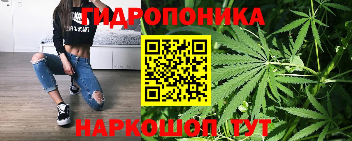 Кунгур  Бошки Шишки THC 21%  Вход с VPN  Бошки Шишки индика  Конопля конопля 